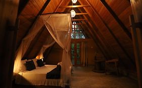 Cinnamon Paradise